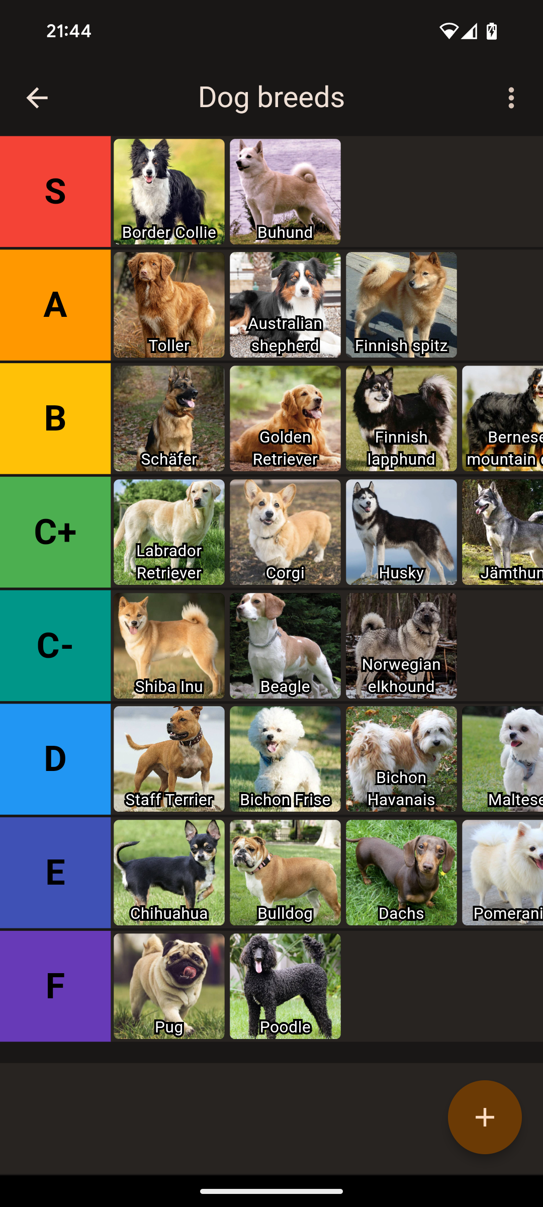 Rank Everything Always screenshot 2