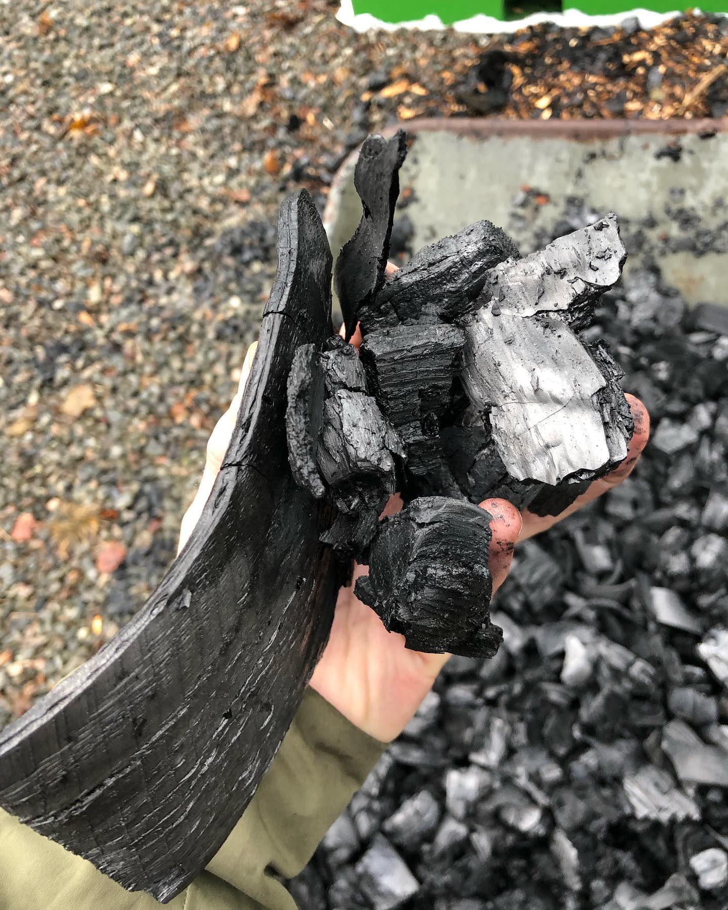 Biochar Picture